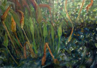 Pickerel Weed in Decay